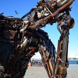 2017-04 Copenhagen/Kastellet/DSC_0356.JPG